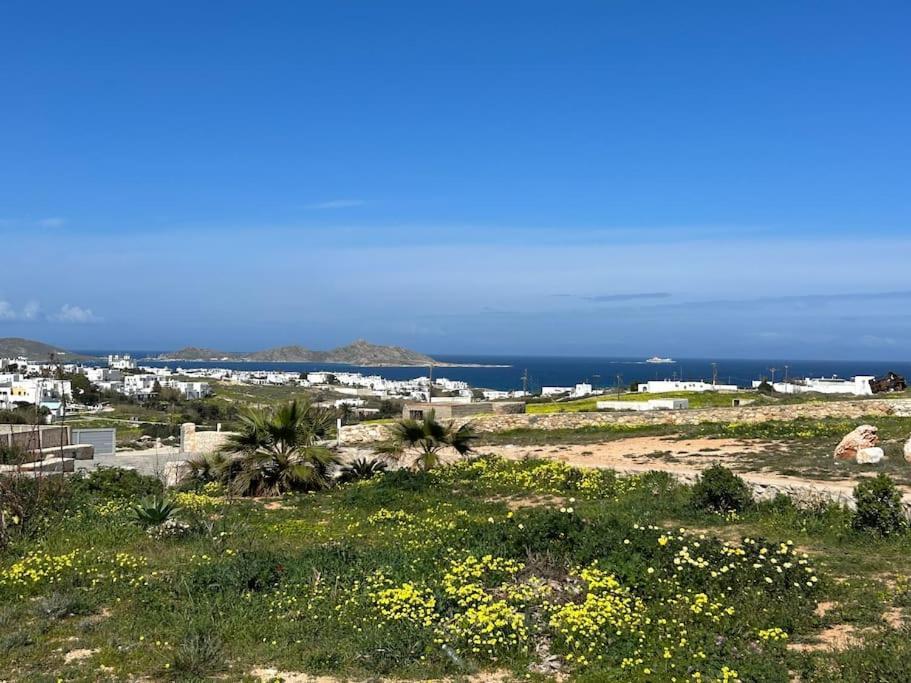 Aretousa Residence In Naoussa, Paros Екстериор снимка